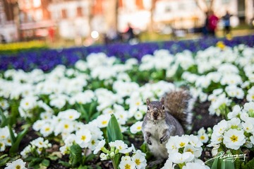 20120321-055.jpg
