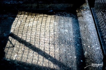 20120511-011.jpg