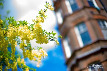 20120512-001.jpg