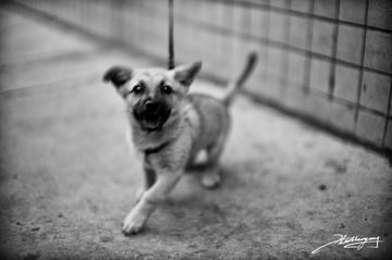 20120630-007.jpg