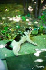 20120723-015.jpg