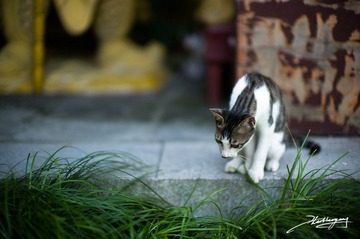 20120723-016.jpg