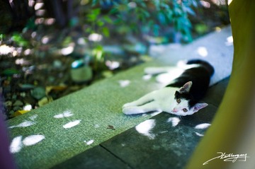 20120723-017.jpg