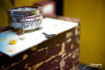 20120723-018.jpg