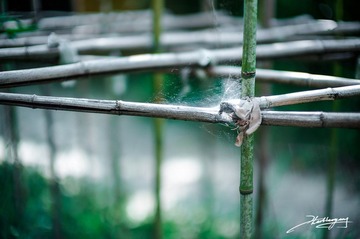 20120723-019.jpg