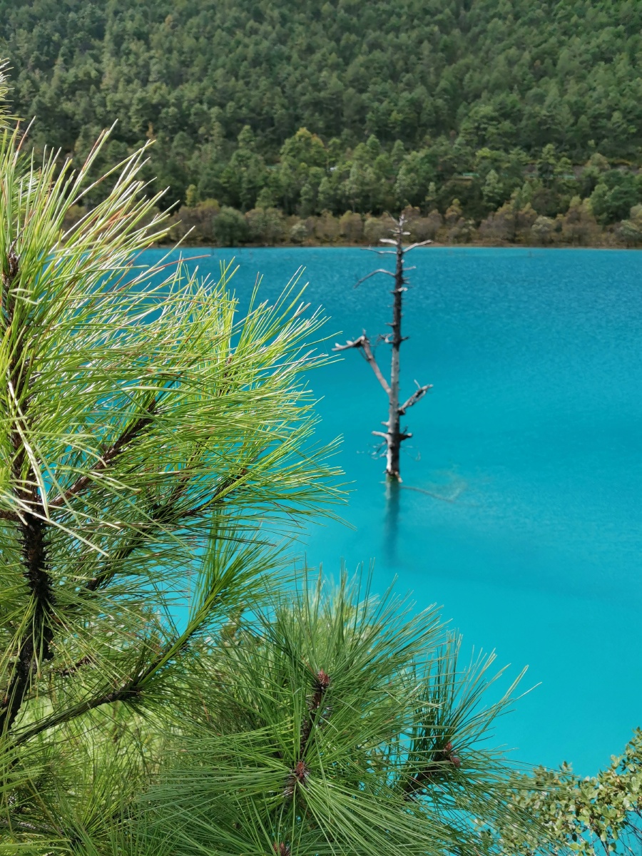 腻是我独一无二的风景