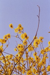 CAA301C1-1CC3-4BB5-BF9D-EF31901A85CA/L0/001