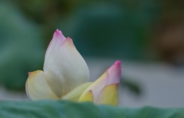 80F2BC69-3676-426C-AD0E-C3FE6D6C0123/L0/001