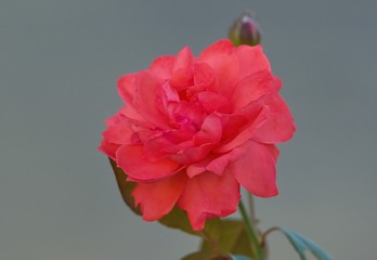 6B58F58C-5E1F-4BE1-86BB-7EF89FB043DF/L0/001