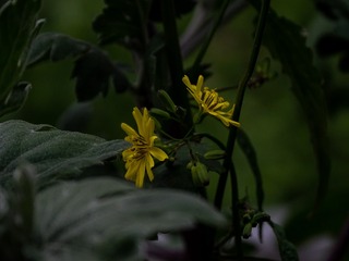 56DB6D15-F5BD-45B3-8900-ADC7D0266354/L0/001