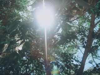 65E1AF27-D5D2-4FAC-9766-CDA0F6280525/L0/001