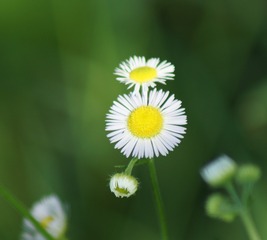 918199