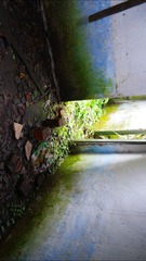 201251