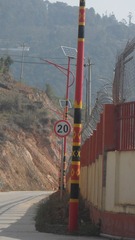 52008