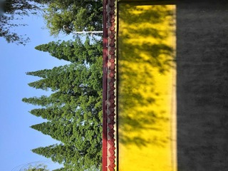 墙里墙外