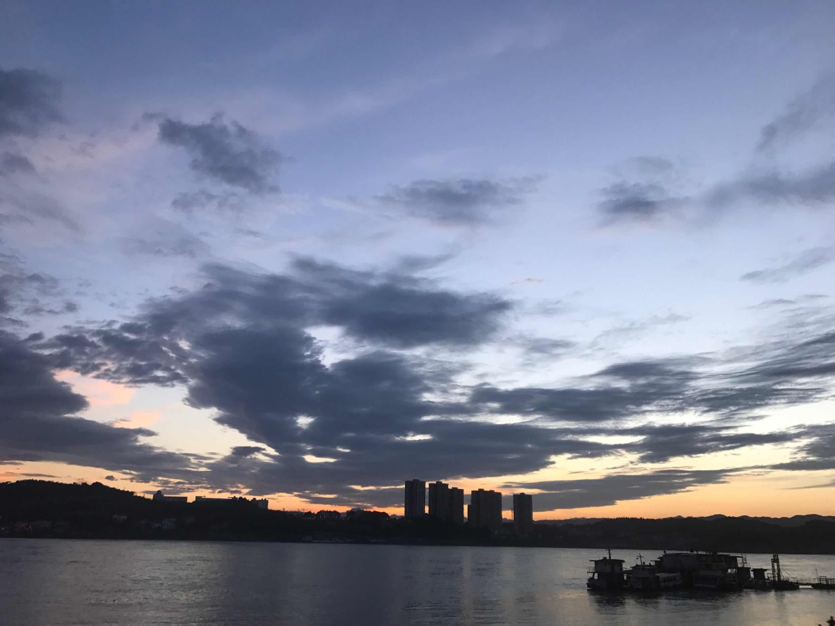 喜欢你就像春天的小熊