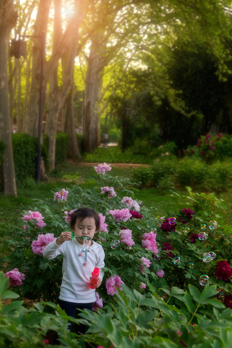 牡丹盛开,美丽的小姑娘吹的泡泡,映照夕阳余晖