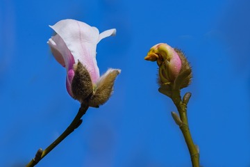 DSC_4164-1-1