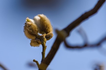 DSC_4108-1-1