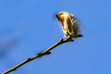 DSC_4170-1-1