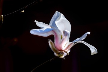 DSC_4035-1-1