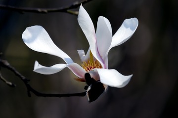 DSC_4084-2-1