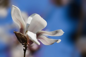 DSC_4024-1-1
