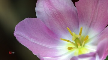 _DSC6760-2-1