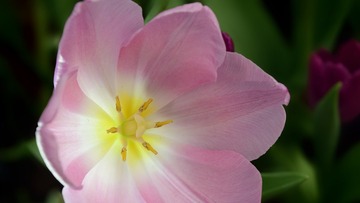 _DSC6755-1-2