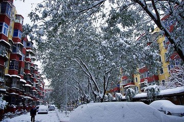 20091110-北京大雪