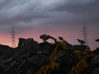 1054071