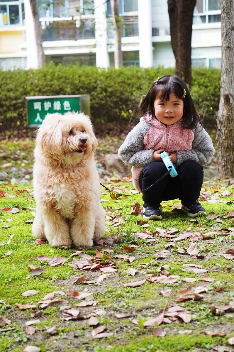 小女孩与爱狗
