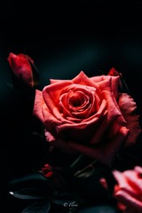 040C588F-3841-413B-8F05-CE2E9449DD4B/L0/001