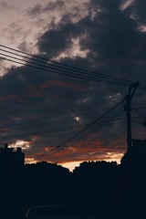 1029031