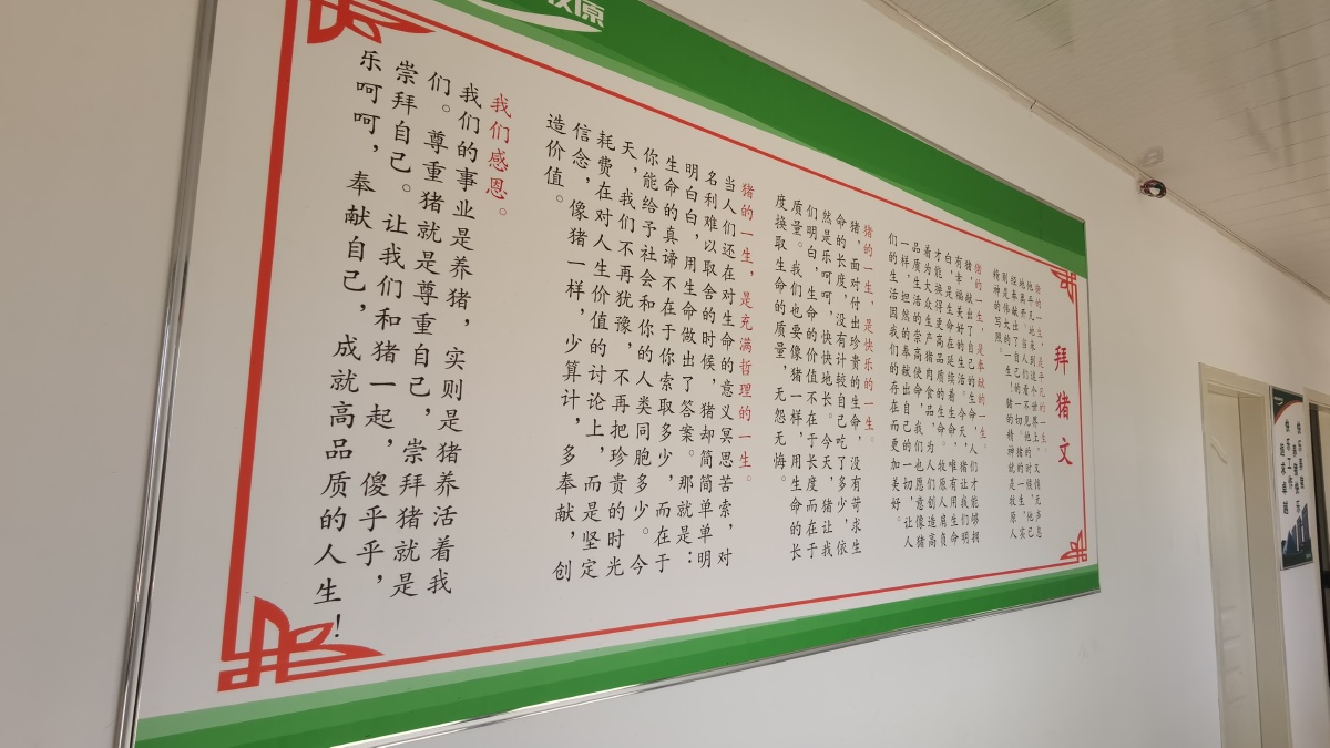 传说中的拜猪文