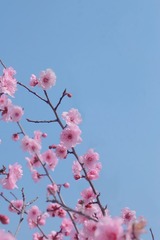80F142C2-F0F1-4F84-8C04-BC1CF1F6D953/L0/001
