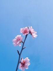 F55F047C-A053-4B01-8B58-4DECDD64A7F9/L0/001
