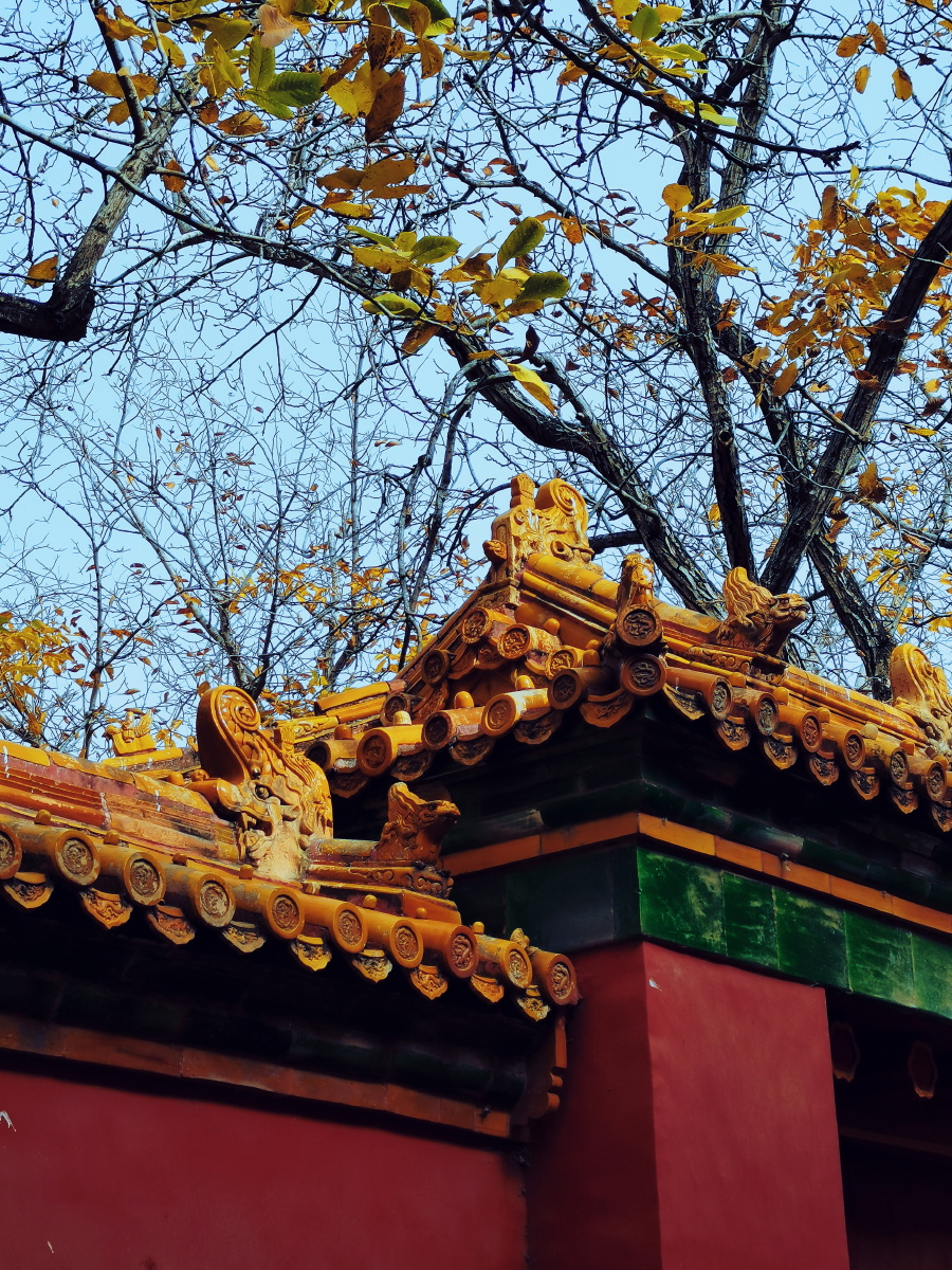 故宫之秋北平之秋再遇见要是明年了