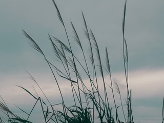 11121