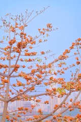 B794D29C-E201-44A2-B21D-D149F1306F31/L0/001