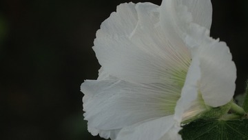 1102480