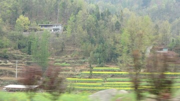 395726