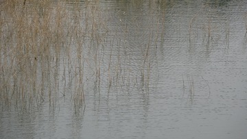 1076470