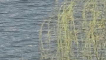 1075574
