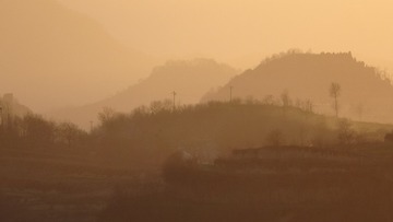 1075239