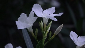 1083541