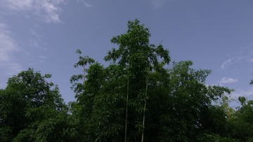 1085256