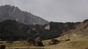 1090539