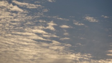 164653