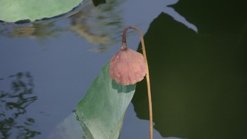 1089274